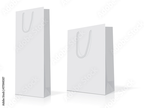 paper bag for your design EPS10 Vector Mock up easy to change color