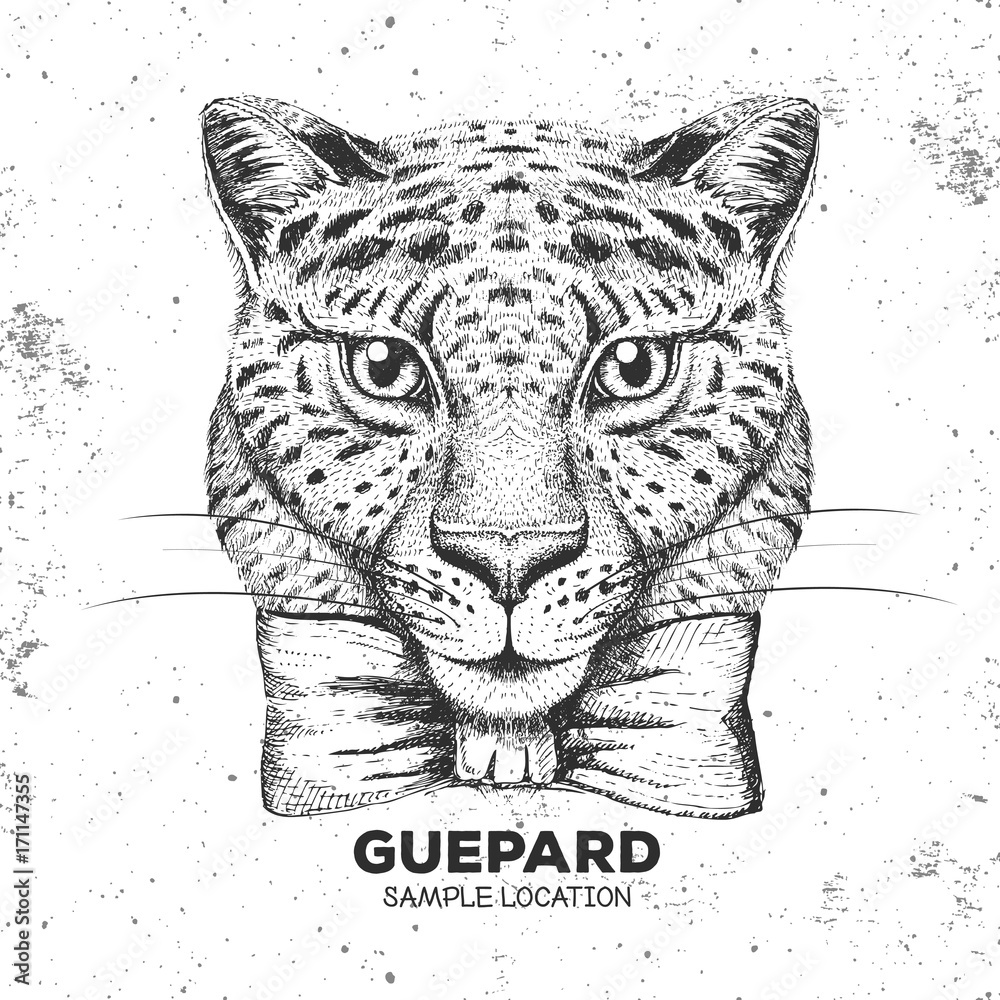 Naklejka premium Hipster animal guepard. Hand drawing Muzzle of guepard