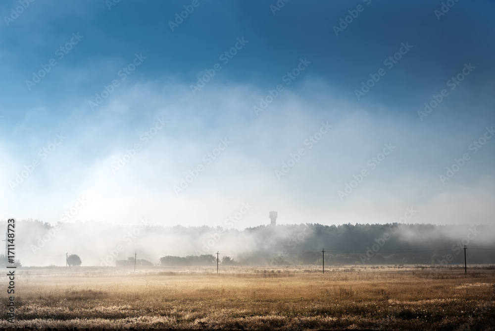 Fototapeta premium thick morning fog on the summer field. the dense forest on the horizon. Morning landscape in summer thick fog