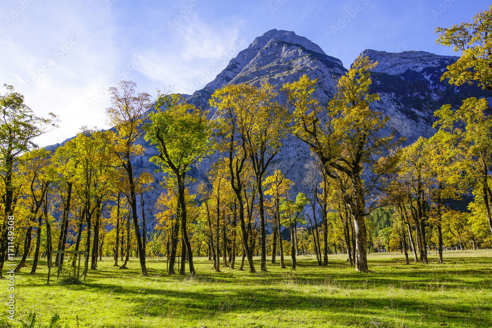 Fototapeta premium Grosser Ahornboden, Tirol, Austria