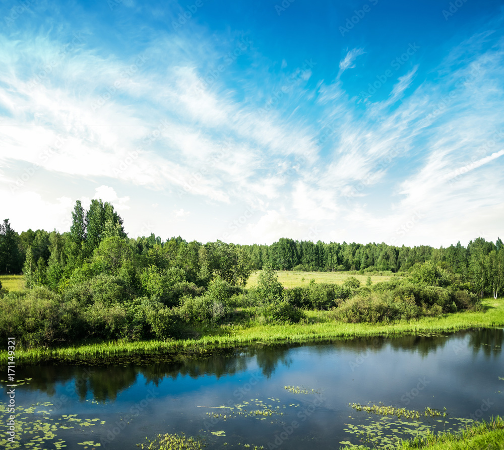 Summer beautiful landscape