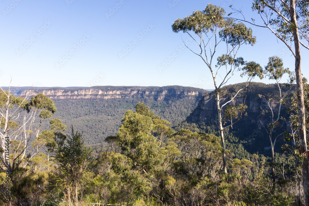 View of the Blue Mountains, New South Wales, Australia