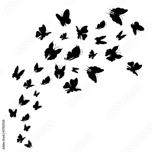 Silhouette Black Fly Flock Of Butterflies. Vector