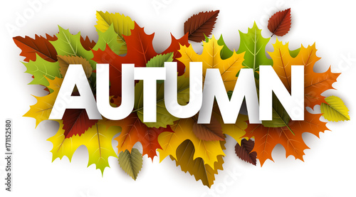 Autumn banner with colorful leaves.