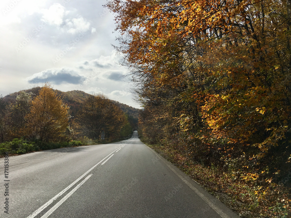 Driving through an autumn forest