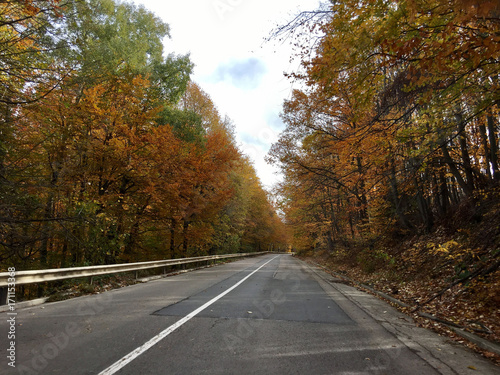 Driving through an autumn forest