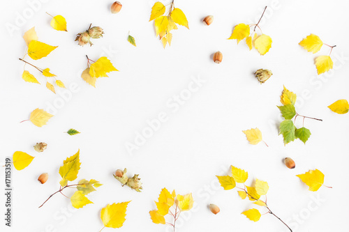 Autumn frame made of birch tree leaves, hazelnuts on white background. Autumn, fall concept. Flat lay, top view, copy space © Flaffy