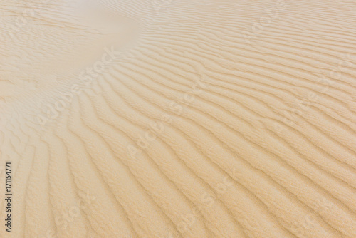 Sand dune of Lomas de Arena Regional Park  Santa Cruz  Bolivia