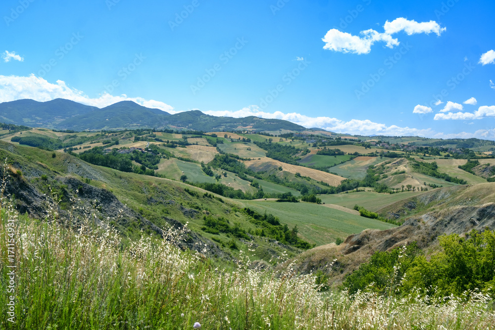 Naklejka premium Rivalta di Lesignano (Parma, Italy): summer landscape