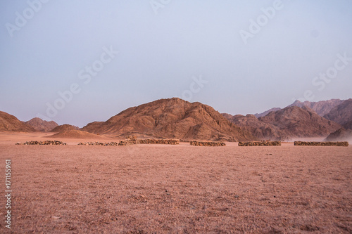 landscape of sahara