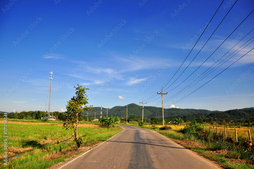 Farm land - after harvest season - afternoon time in Chaingrai, Thailand