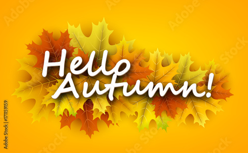 Wallpaper Mural Hello autumn background with maple leaves. Torontodigital.ca
