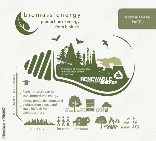 infographics renewable source of biomass energy