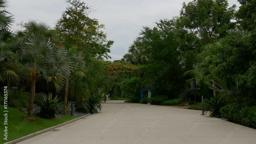 singapore famous gardens by the bay park walking panorama 4k
singapore famous gardens by the bay park walking panorama 4k