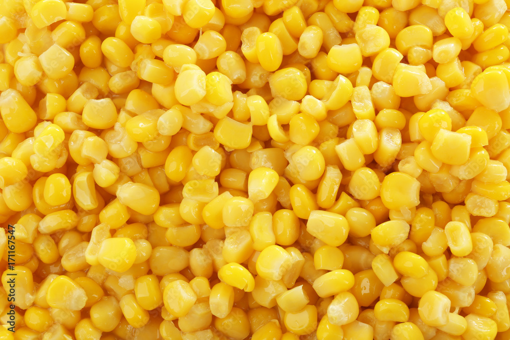 Canned corn kernels, closeup Canned corn kernels, closeup