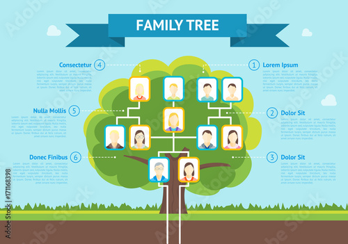 Cartoon Family Tree Infographic Card Poster. Vector
