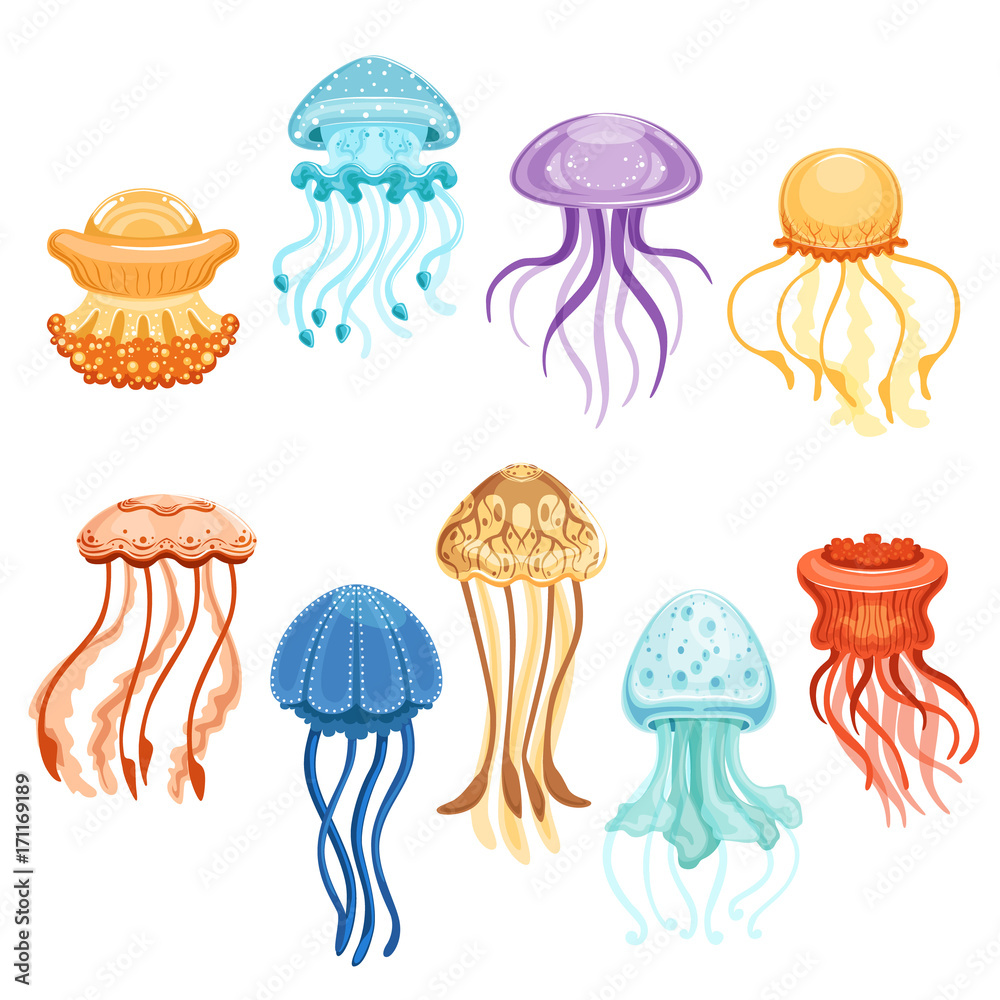 Naklejka premium Kolorowy zestaw meduzy, pływające morskie stworzenia wodne ilustracje wektorowe