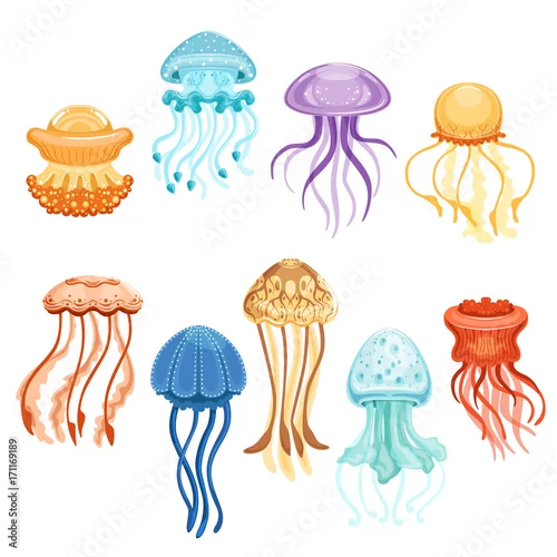 Obraz Zestaw kolorowych meduz, pływanie morskich stworzeń akwarela ilustracje wektorowe