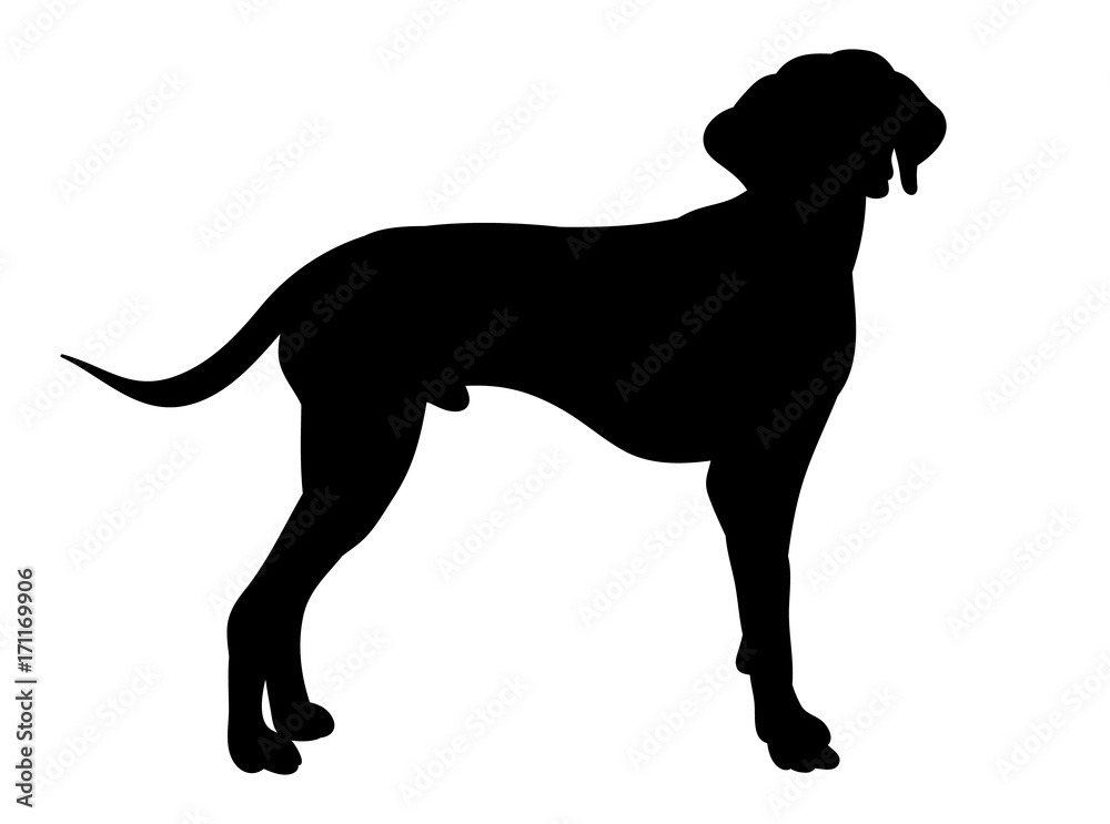  isolated silhouette dog