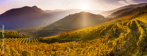 Austria, Lower Austria, Wachau, Spitz photo