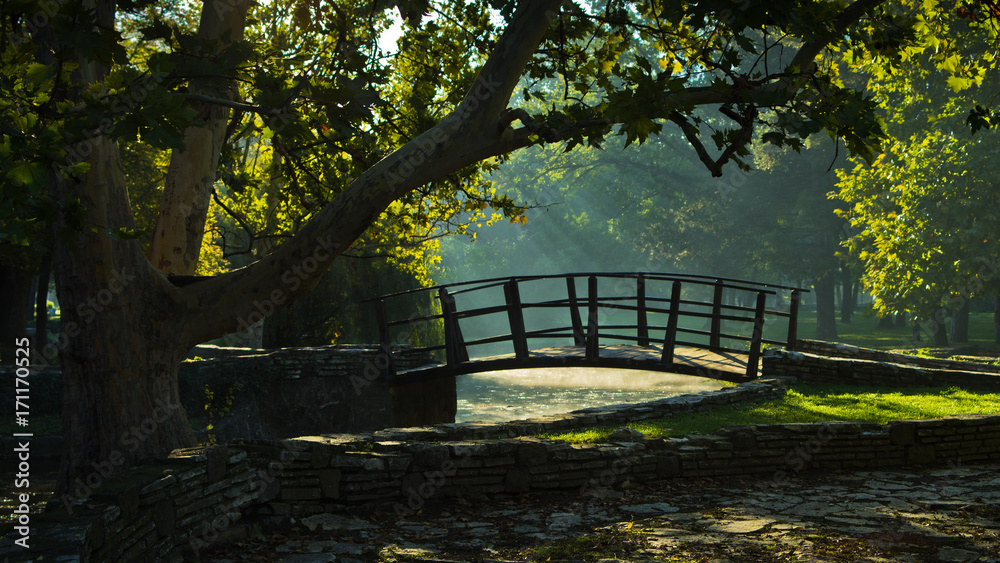 Little wooden bridge on first sunrays at morning in Topcider park, Belgrade, Serbia Little wooden bridge on first sunrays at morning in Topcider park, Belgrade, Serbia
