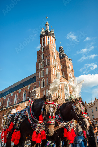 Saint Mary's Church and carriage with decorated horses in Krakow, Poland photo