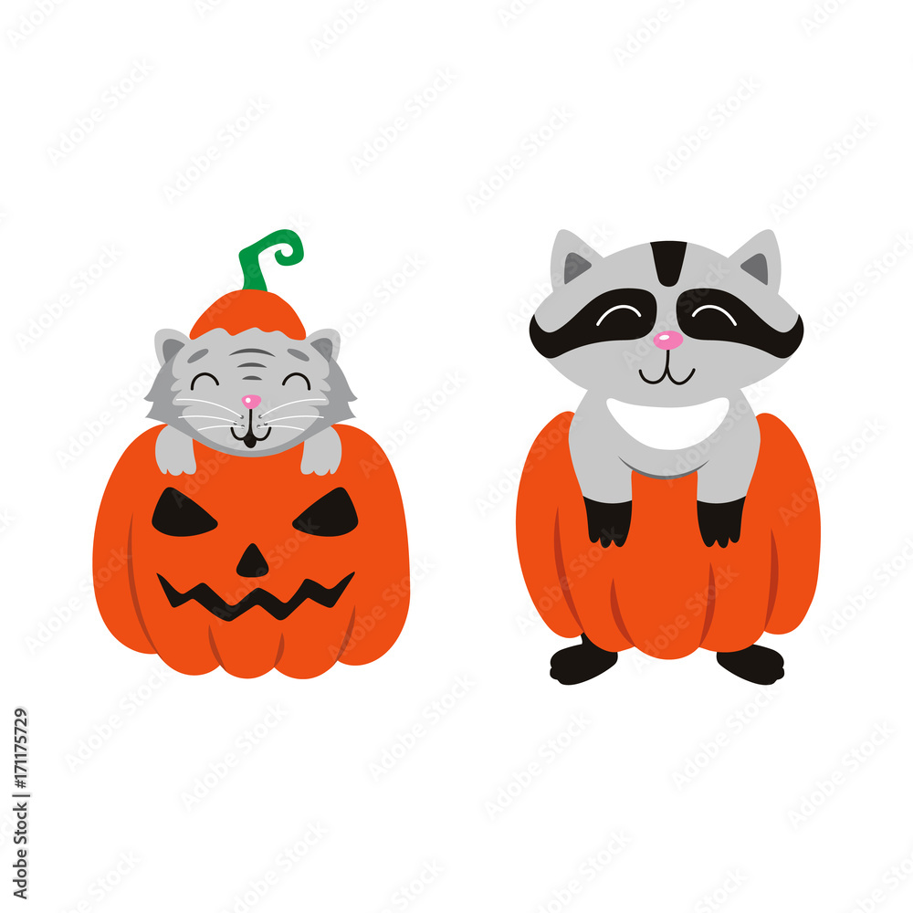 vector flat cartoon funny cute cat sitting at halloween scary pumpkin with gourd hat with stem on head, and racoon set. Isolated illustration on a white background. Fancy animal concept vector flat cartoon funny cute cat sitting at halloween scary pumpkin with gourd hat with stem on head, and racoon set. Isolated illustration on a white background. Fancy animal concept