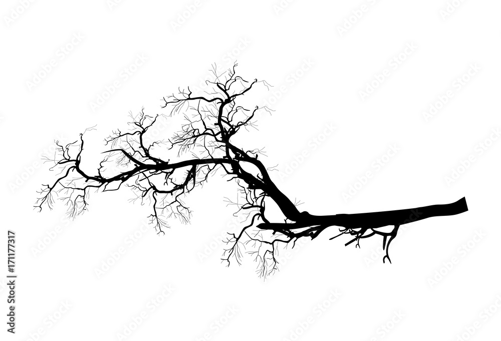 Spooky Dead Tree Branch Shape Vector