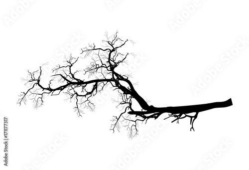 Spooky Dead Tree Branch Shape Vector