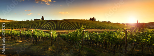 Fototapeta Naklejka Na Ścianę i Meble -  Beautiful landscape of Vineyards in Tuscany at sunset. Chianti region in summer season. Italy.
