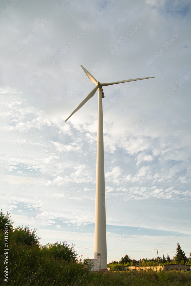 Wheat field, against the sky wind generator Wheat field, against the sky wind generator