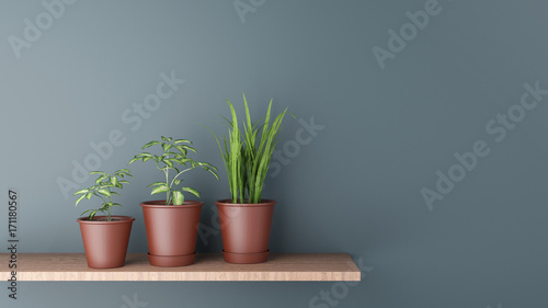 Drei Topfpflanzen im Blumentopf auf Regal