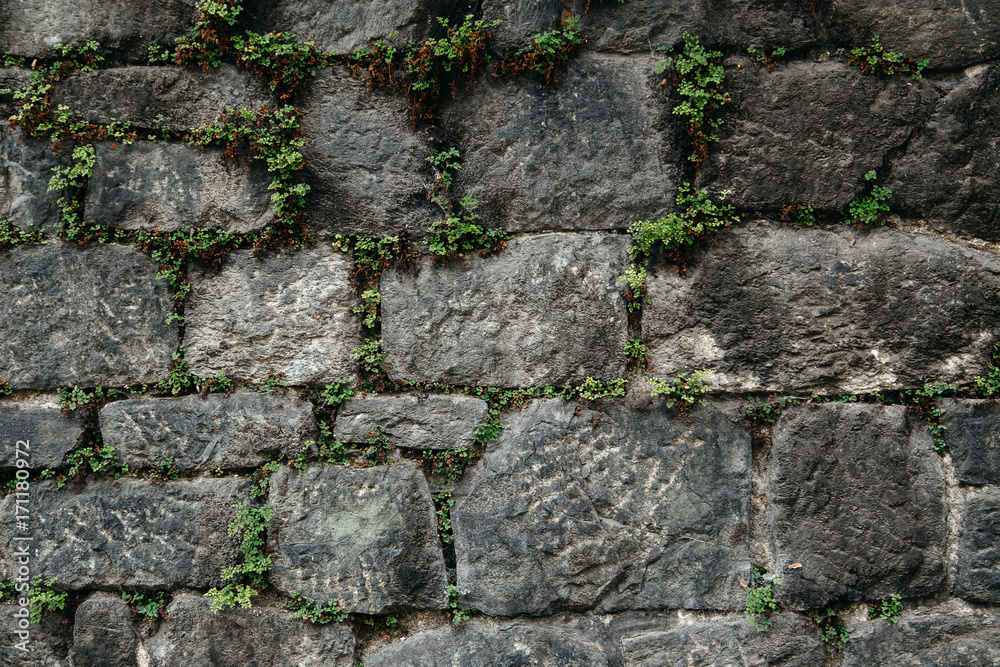 Abstract rock stone wall texture pattern background