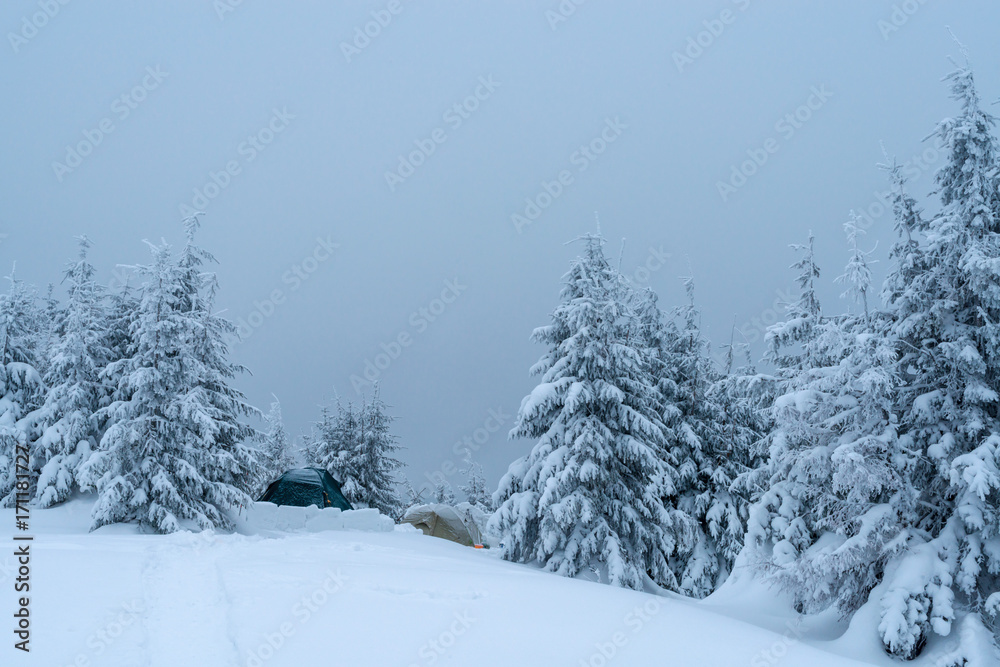 Naklejka premium Fantastic winter landscape