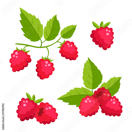 Set of cartoon raspberry with green leaves isolated on white