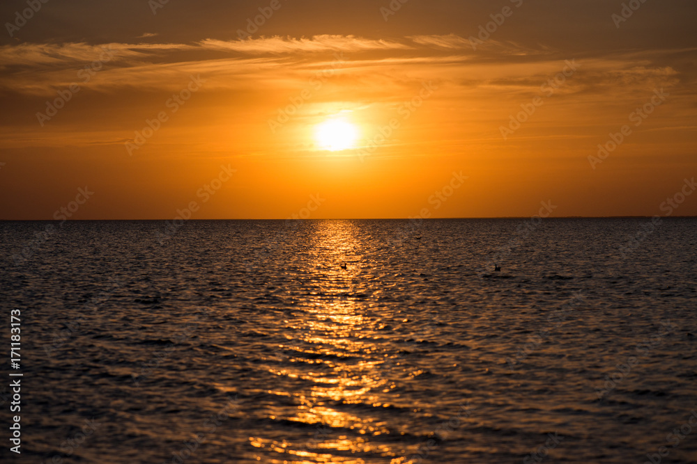 beautiful sunset over the sea