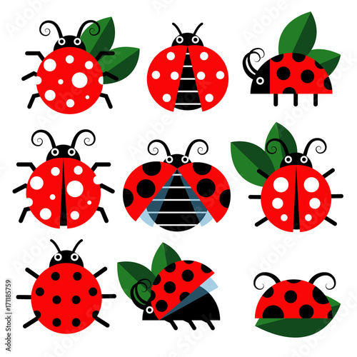Cute ladybug vector icons. Cartoon-style bugs and leaves