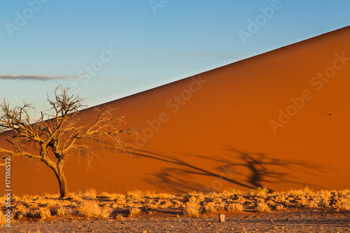 Sossusvlei in the Namib Desert