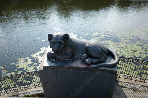 Kuzminki Park. Moscow. photo