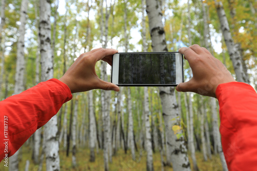 taking photo with cellphone in white birch forest