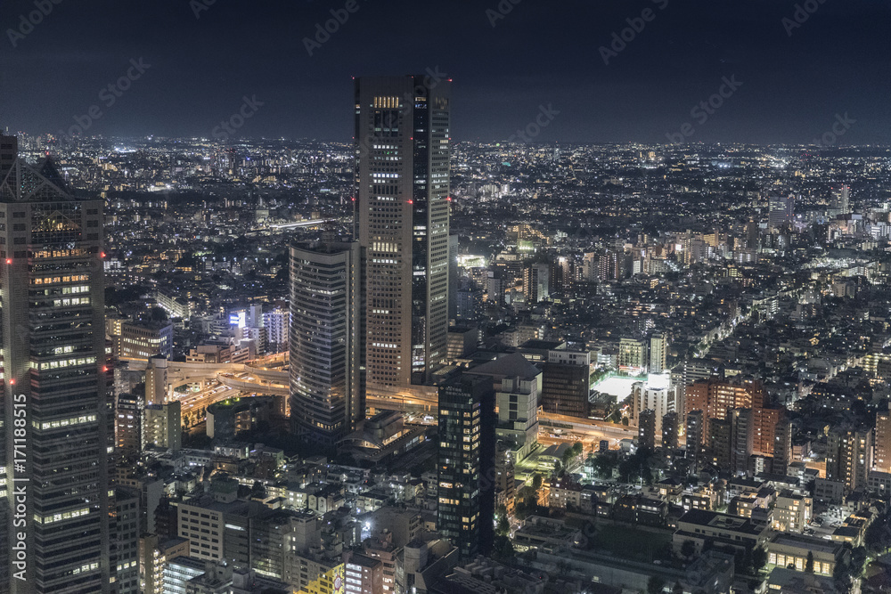 Fototapeta premium 東京の新宿からの夜景