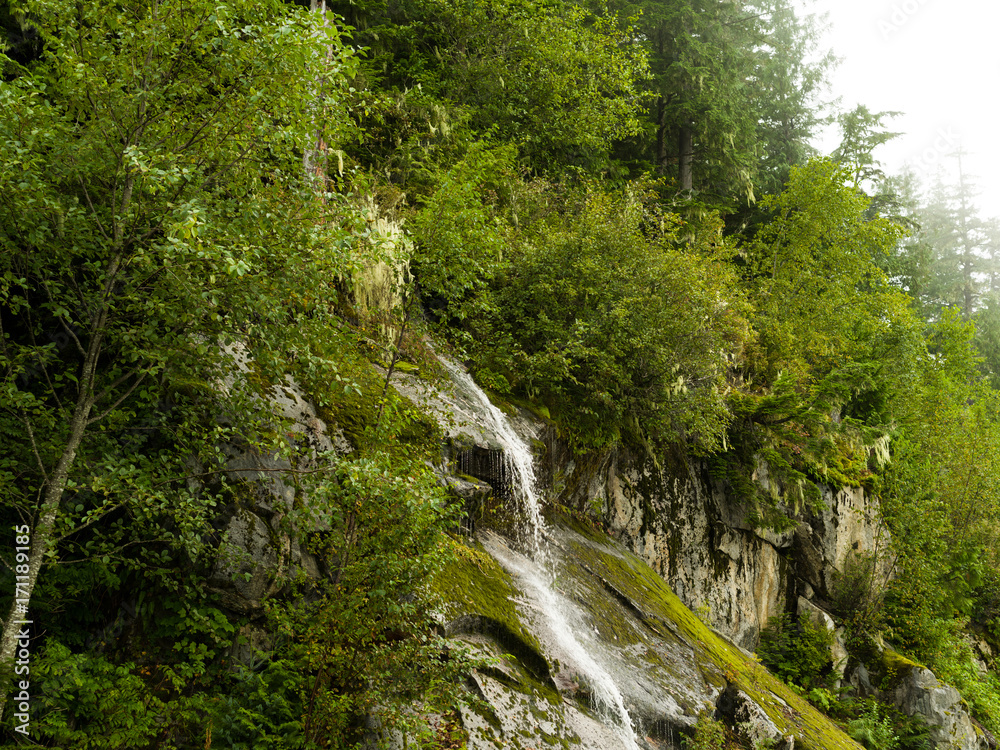 Waterfall in the Rain Forest in Northern British Columbia, Canada.