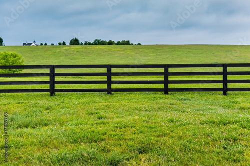 Section of Horse Fence and Pasture