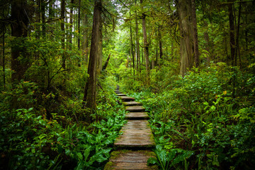 Keuken achterwand Bosweg Schilderachtig wandelpad tussen bomen  © Kyle Thompson