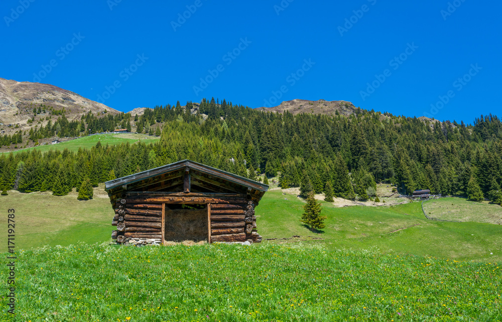 Fototapeta premium barn in the mountains with panoramic view
