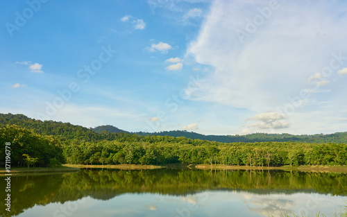 Fototapeta Naklejka Na Ścianę i Meble -  Lake, forest and blue sky