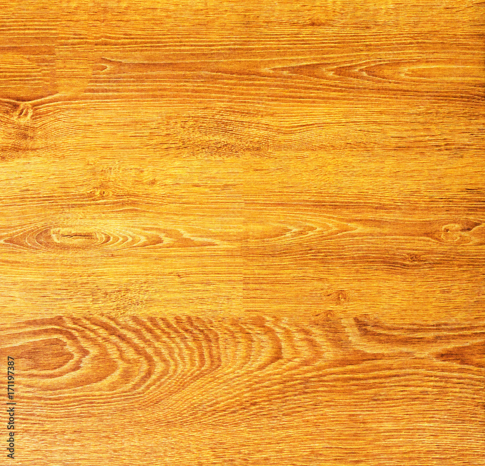 Fototapeta premium The texture of the wood. Paul. birch