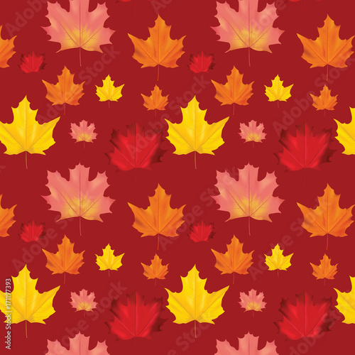 Seamless Autumn Leaves Background Pattern in Vector