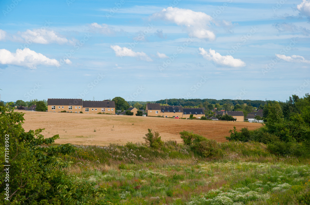 Danish countryside landscape
