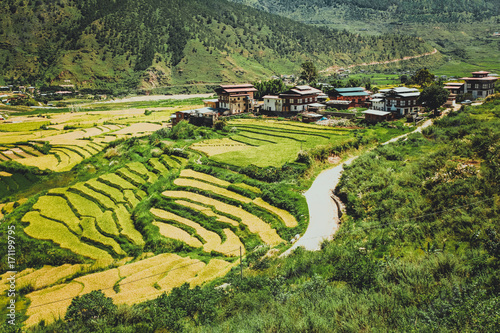 Bhutanese village and terraced field at Punakha, Bhutan